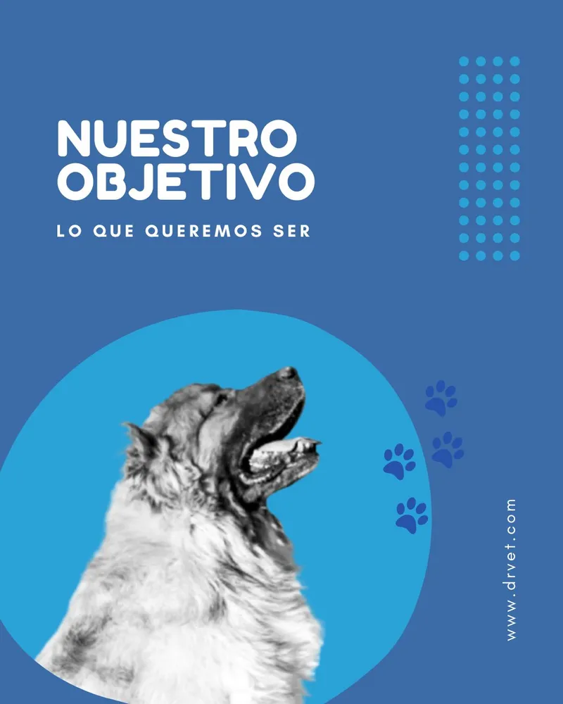 Imagen de un cachorro con texto alusivo a la visión de Dr. Vet Hospital Veterinario